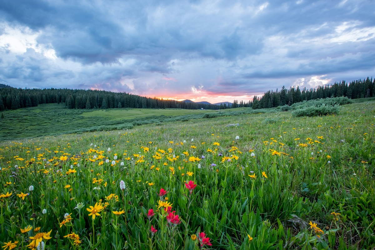 heaven-spiritual-eldercare